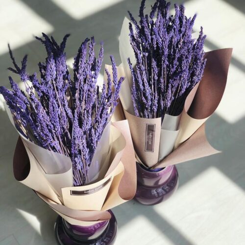 Levandos kompozicija vazonėlyje violetinės spalvos